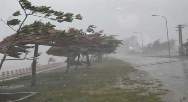 bão lũ haiyan việt nam, philippine