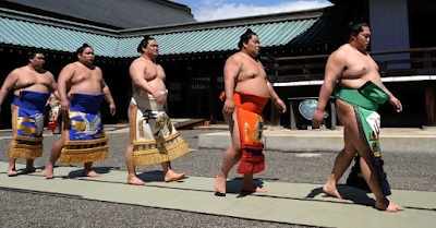 sumo japannese